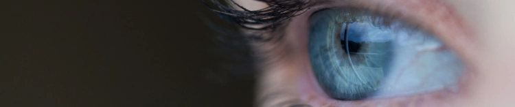 What is Blended Vision?